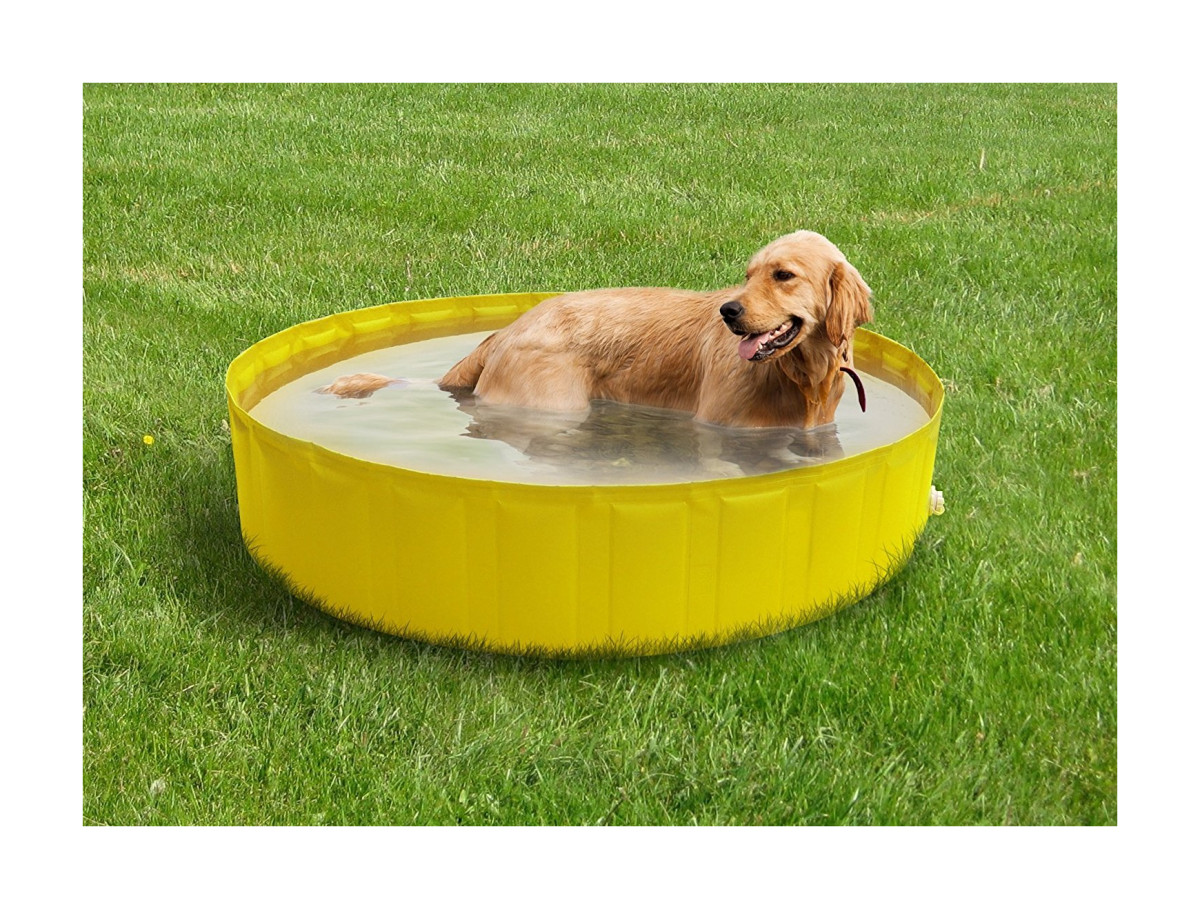 Piscina per animali MY DOG POOL 180 diametro 180 alta 30