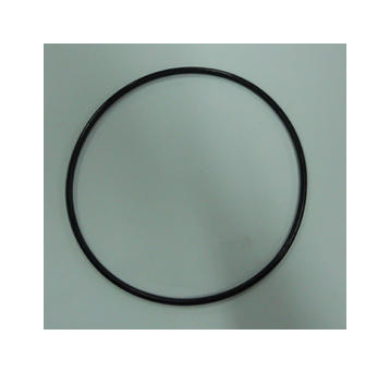 11379 INTEX GUARNIZIONE TANICA POMPA diam cm 15 circa